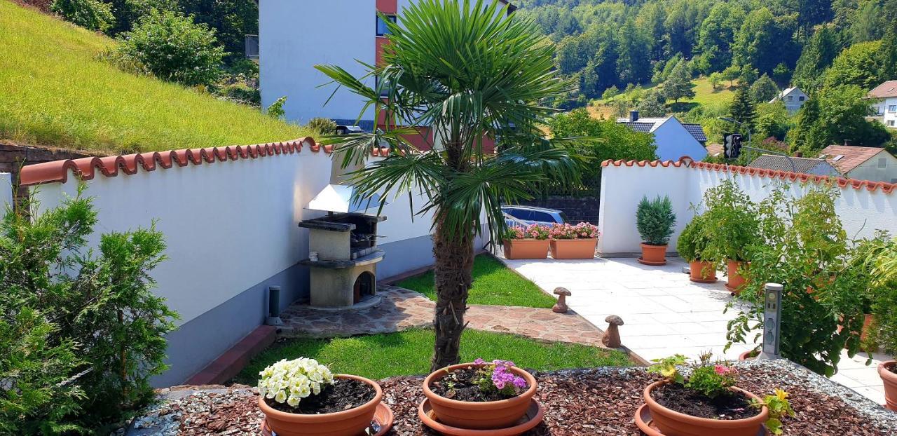 Apartmenthaus "Zum Lowen" Heidelberg - Ziegelhausen Kültér fotó