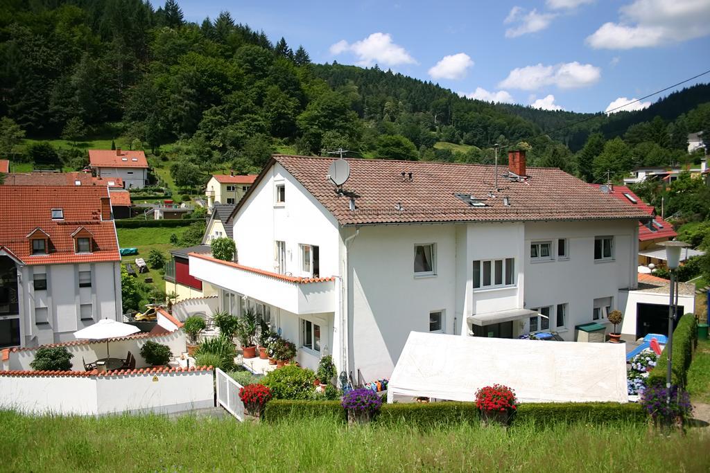 Apartmenthaus "Zum Lowen" Heidelberg - Ziegelhausen Kültér fotó