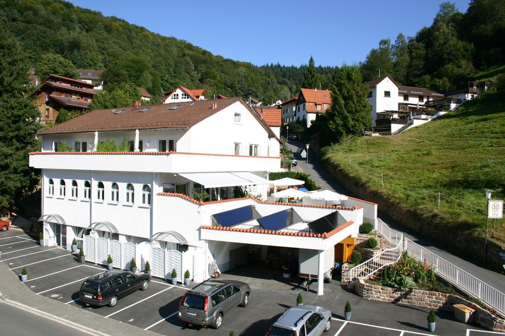 Apartmenthaus "Zum Lowen" Heidelberg - Ziegelhausen Kültér fotó