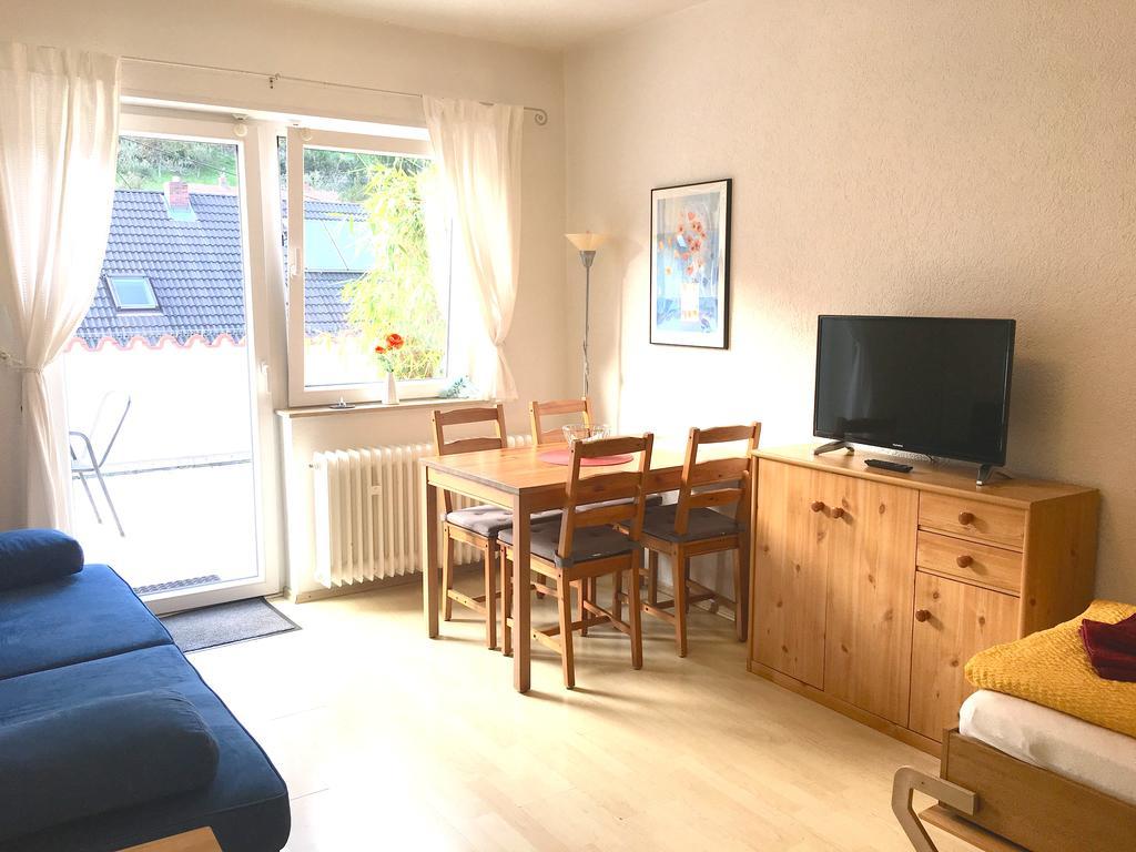 Apartmenthaus "Zum Lowen" Heidelberg - Ziegelhausen Kültér fotó