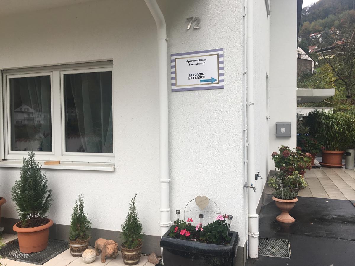 Apartmenthaus "Zum Lowen" Heidelberg - Ziegelhausen Kültér fotó