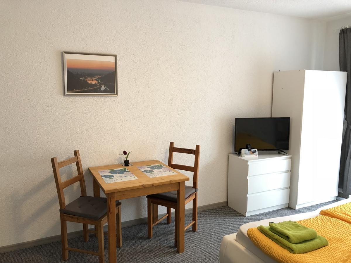 Apartmenthaus "Zum Lowen" Heidelberg - Ziegelhausen Kültér fotó
