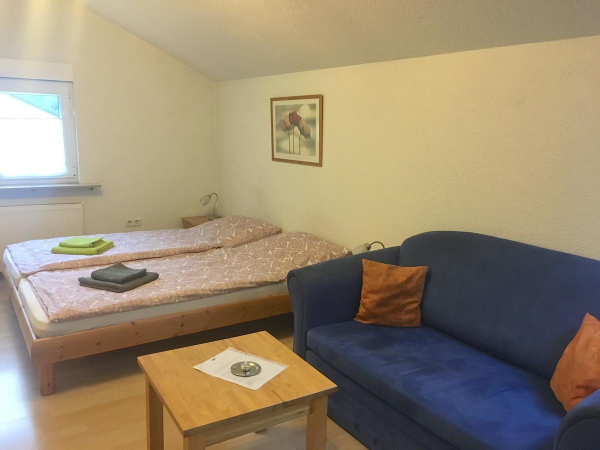Apartmenthaus "Zum Lowen" Heidelberg - Ziegelhausen Kültér fotó